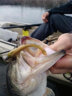 Scrounging Up Bass - PowerTeam Lures